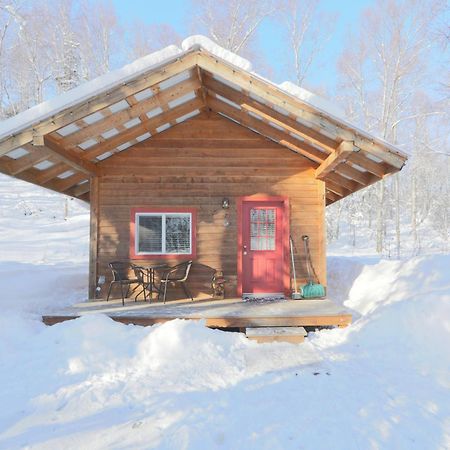 Spruce Cabin Talkeetna Buitenkant foto