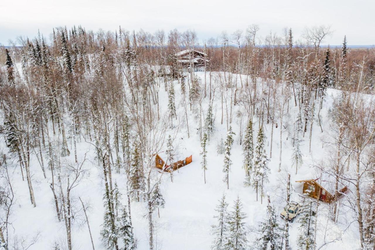 Spruce Cabin Talkeetna Buitenkant foto